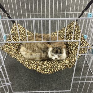 DAFFNY-1 HANGING HAMMOCK Leopard S