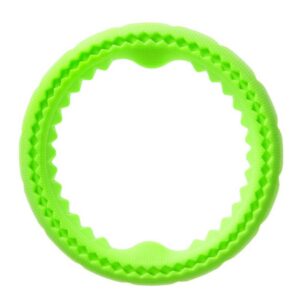 FOAM RING