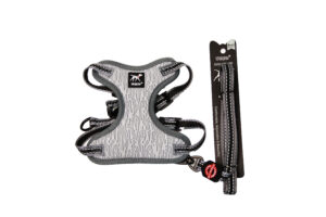 GRETA-L LEASH + HARNESS pure-GY L
