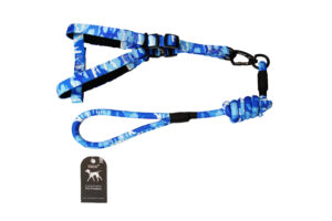 ETTA LEASH + COLLAR colorful arrow + 2.0 collar with foam BL