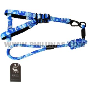 ETTA LEASH + COLLAR colorful arrow + 2.0 collar with foam BL