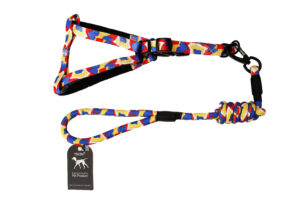 ETTA LEASH + COLLAR colorful arrow + 2.0 collar with foam RD