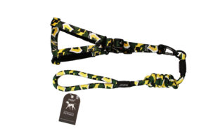 ETTA LEASH + COLLAR colorful arrow + 2.0 collar with foam YL